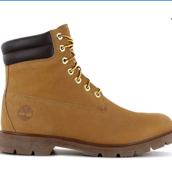 Timberland 6-Inch Basic Boot - Men's Winter Boots . Leather - Picture 1 of 8